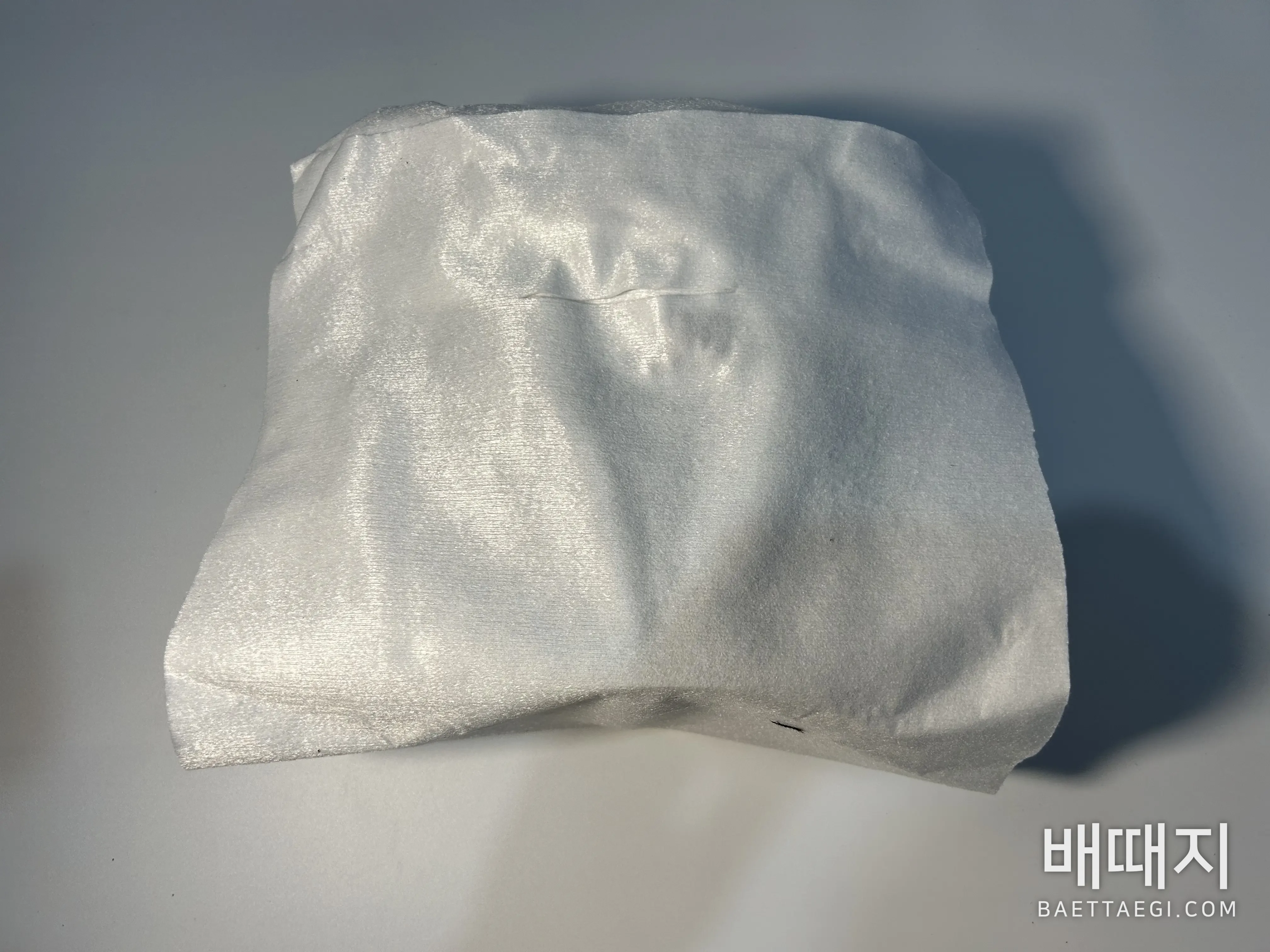 셀린느 트리오페 캔버스 보니 백팩 검수사진 5