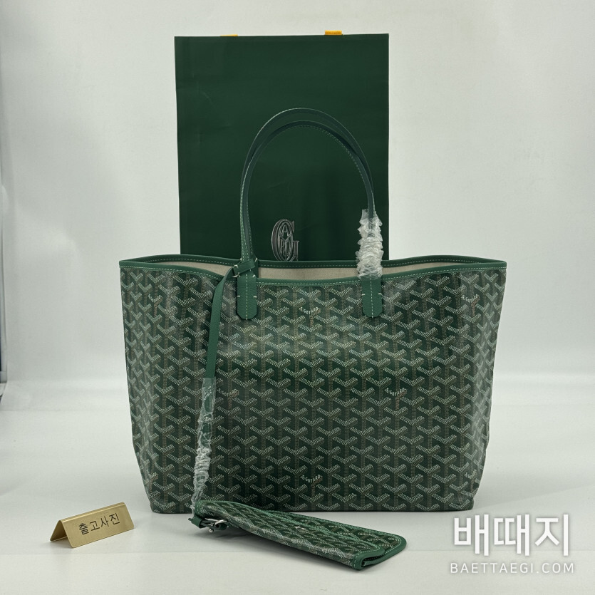 고야드 생루이