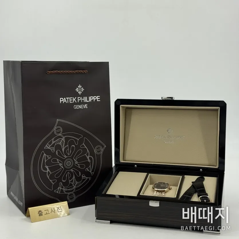 파텍필립 5738 토노형 스테인리스 스틸 시계 181892