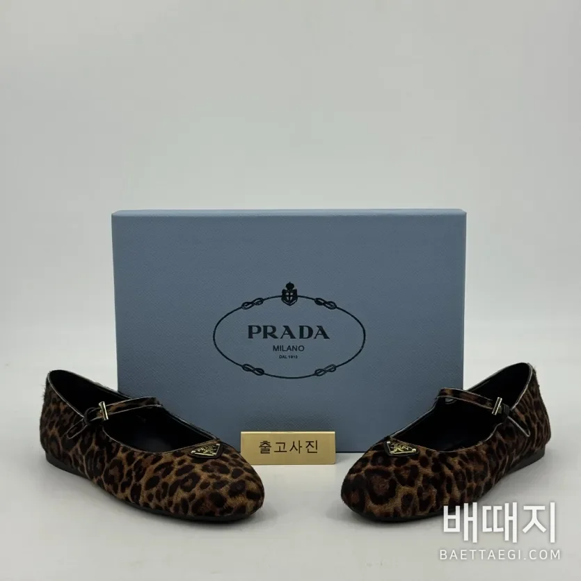 프라다 / PR20260812-0242