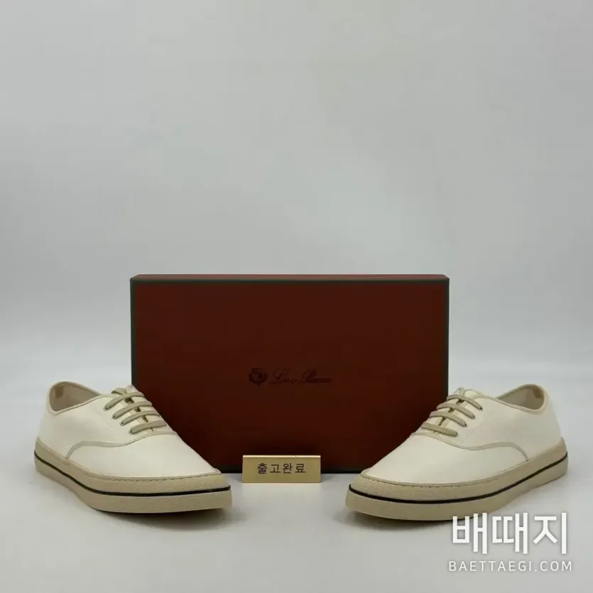 로로피아나 신발