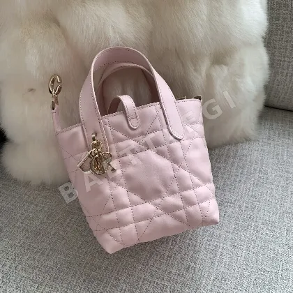 디올 미니 뚜주흐 버티컬 미니 가방 106119