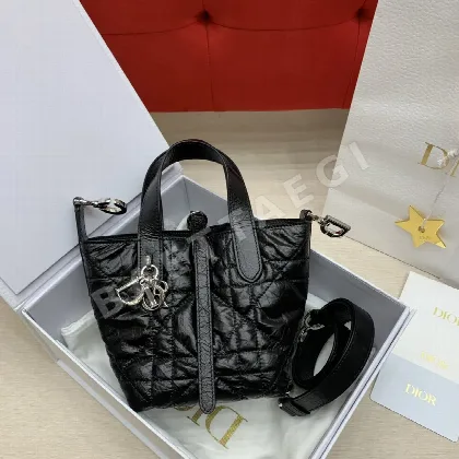 디올 뚜주흐 버티컬 미니 소가죽 가방 190844