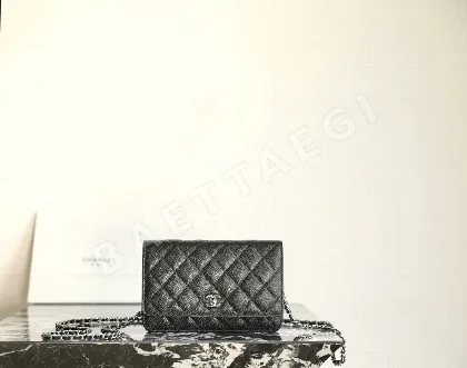 샤넬 WOC 체인 가방 193380