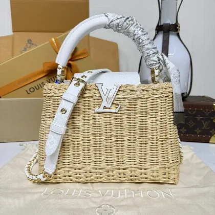 루이비통 버드케이지 BB 핸드백 M29501