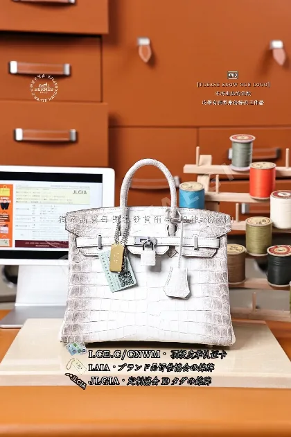 에르메스 히말라야 버킨 25 가방 17935
