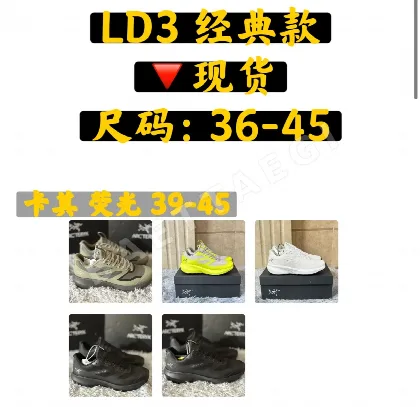 아크테릭스 LD3 클래식 신발 102632