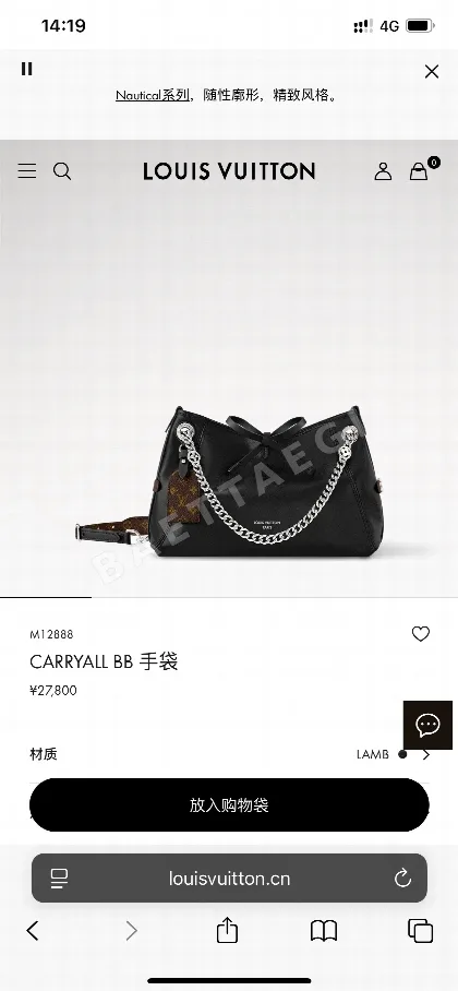 루이비통 캐리올 BB 가방 186441