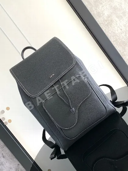 디올 새들 백팩 195768