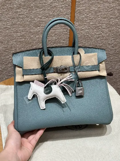 에르메스 버킨 25 스카이 토고 가죽 핸드백 18018