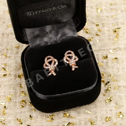 티파니 귀걸이 70853 Tiffany & Co Earrings