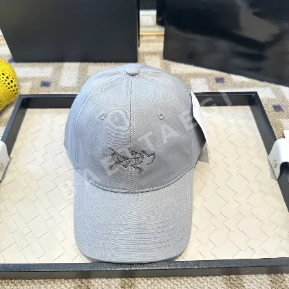아크테릭스 스몰 버드 베이스볼 모자 120285